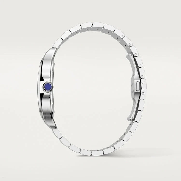 Santos de Cartier SKELETON WHSA0015 Pour Homme