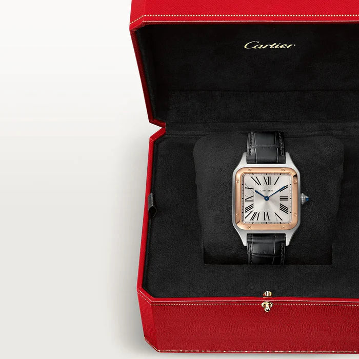 Cartier Santos Dumont W2SA0011